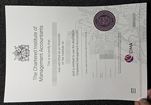 CIMA Certification-1