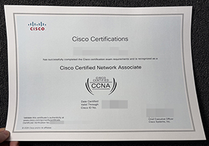 CISCO CCNA Certificate-1