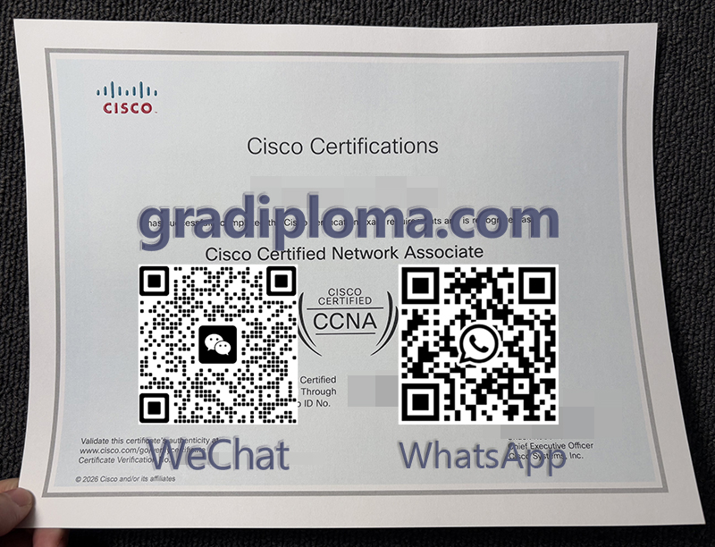 CISCO CCNA Certificate