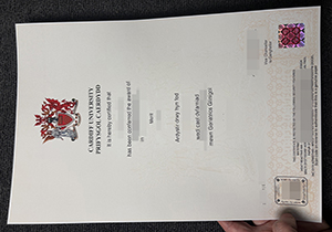 Cardiff University degree-1