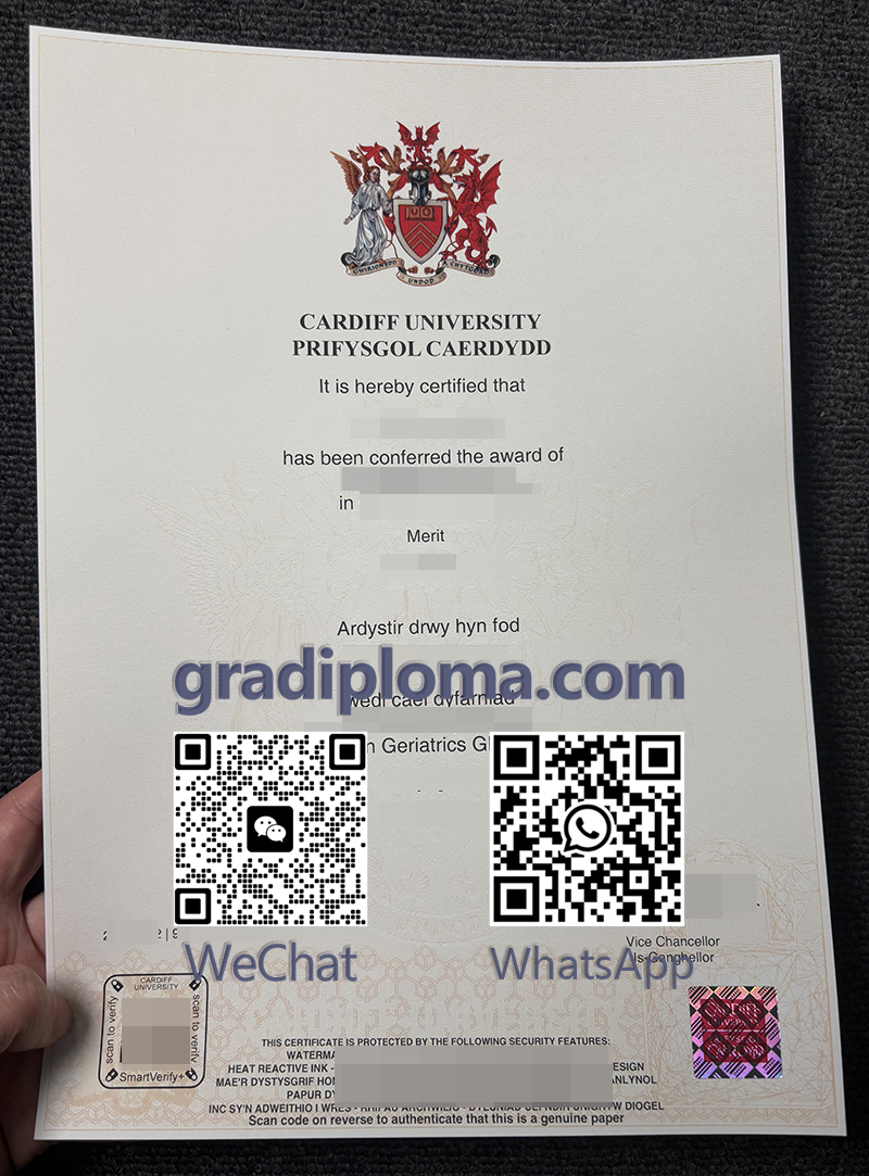 Cardiff University degree