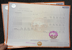 Pepperdine University transcript-1