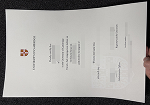 University of Cambridge degree-1