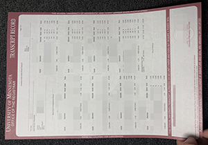 University of Minnesota transcript-1