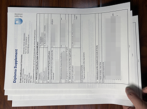 The Open University diploma supplement-1