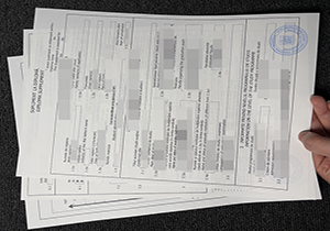 UB diploma supplement-1